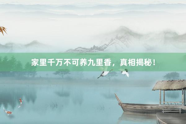 家里千万不可养九里香，真相揭秘！